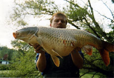 kapr 17 kg - 91 cm