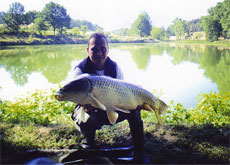 kapr 14 kg - 92 cm