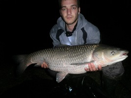 Amur 93 cm 12.5 kg
