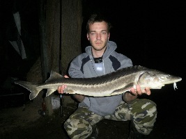 Jeseter 94cm