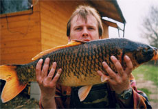  jeseter 7 kg - 105 cm