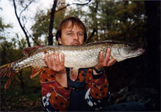 štika 5,5 kg - 88 cm